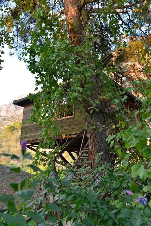 Hotel Gorge Club Saklikent Camera foto